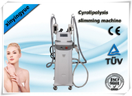 Cavitaion RF Cryolipolysis Slimming Machine , body cryo fat freezing Machine